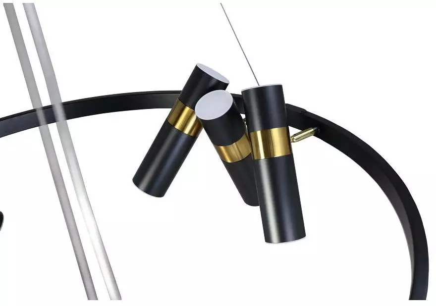 Подвесная люстра Zortes Tweeny ZRS.1828.80 11_ZRS_ZRS.1828.80.webp big