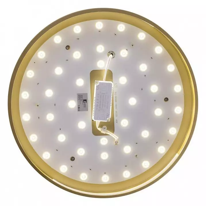 Накладной светильник Zortes Gabby ZRS.90610.40 6_ZRS_ZRS.90610.40.webp big
