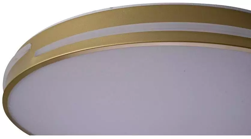 Накладной светильник Zortes Gabby ZRS.90610.50 10_ZRS_ZRS.90610.50.webp big