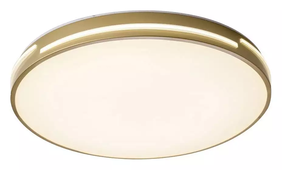 Накладной светильник Zortes Gabby ZRS.90610.50 1_ZRS_ZRS.90610.50.webp big