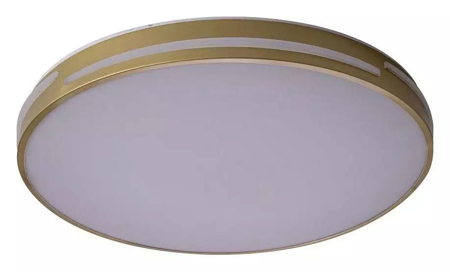 Накладной светильник Zortes Gabby ZRS.90610.50 2_ZRS_ZRS.90610.50.webp big