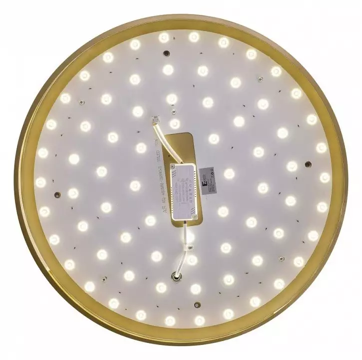 Накладной светильник Zortes Gabby ZRS.90610.50 5_ZRS_ZRS.90610.50.webp big