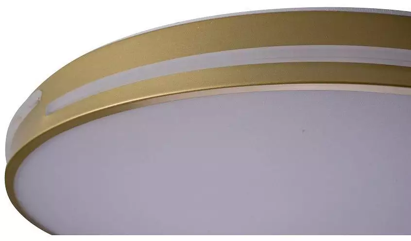 Накладной светильник Zortes Gabby ZRS.90610.50 8_ZRS_ZRS.90610.50.webp big