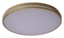 Накладной светильник Zortes Gabby ZRS.90610.50 2_ZRS_ZRS.90610.50.webp small