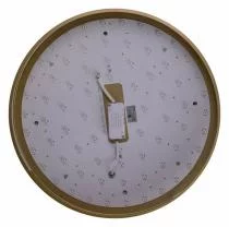 Накладной светильник Zortes Gabby ZRS.90610.50 6_ZRS_ZRS.90610.50.webp small