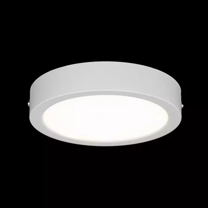 Накладной светильник Citilux Галс CL5516N 8_CL5516N.webp big