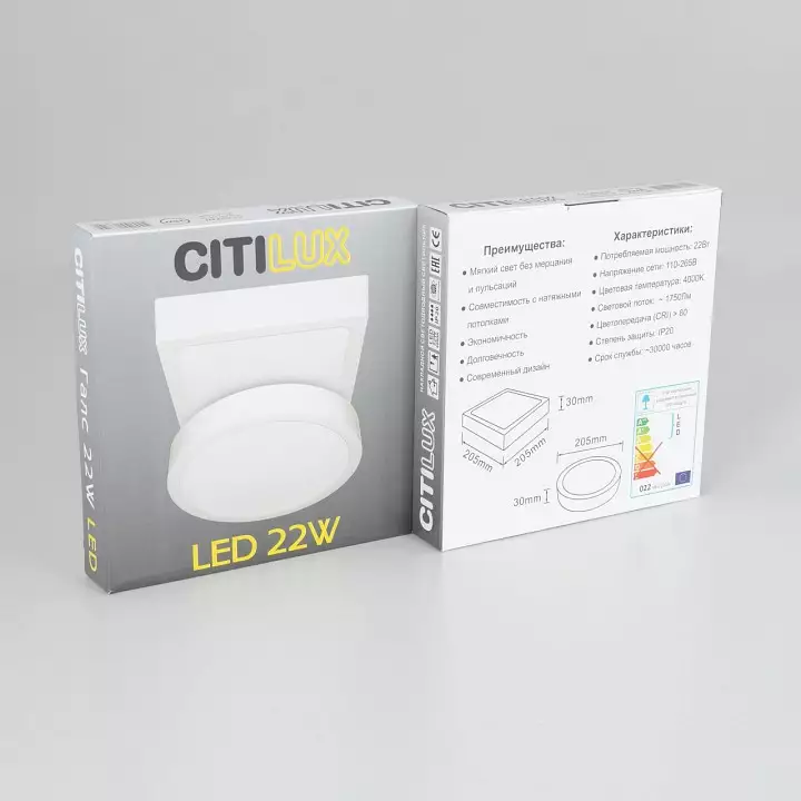 Накладной светильник Citilux Галс CL5522N 13_CL5522N.webp big