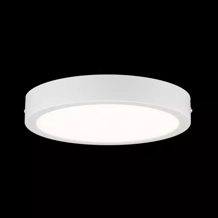 Накладной светильник Citilux Галс CL5522N 7_CL5522N.webp big