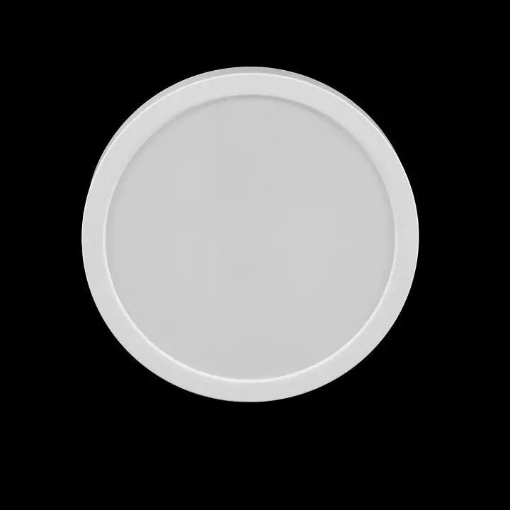 Накладной светильник Citilux Галс CL5522N 9_CL5522N.webp big