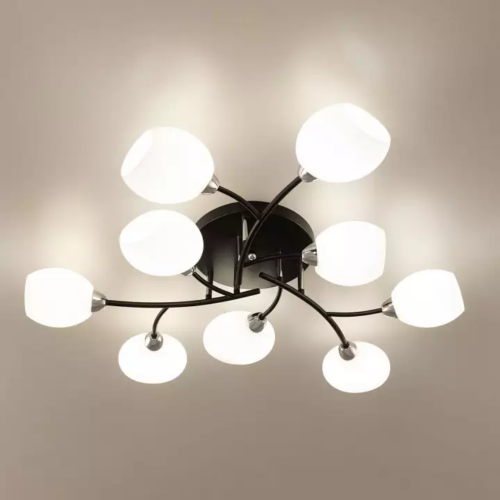Потолочная люстра Citilux Флорида CL148195 14_CL148195.webp big