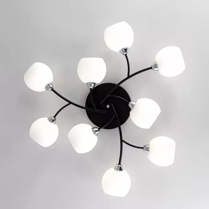 Потолочная люстра Citilux Флорида CL148195 9_CL148195.webp big