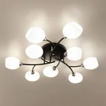 Потолочная люстра Citilux Флорида CL148195 14_CL148195.webp small