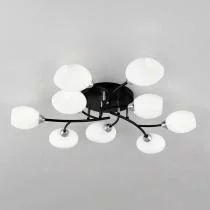 Потолочная люстра Citilux Флорида CL148195 7_CL148195.webp small