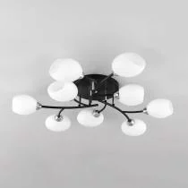 Потолочная люстра Citilux Флорида CL148195 8_CL148195.webp small