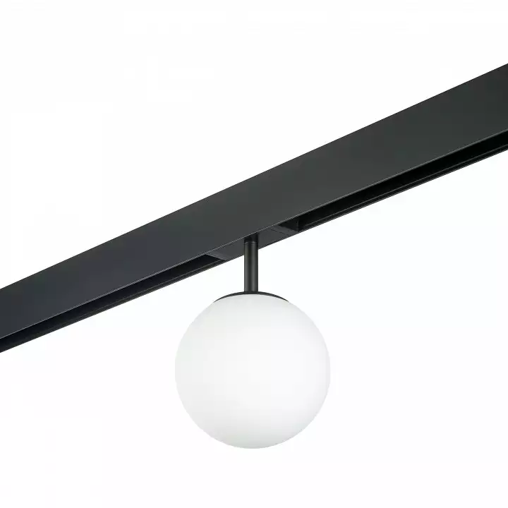Светильник на штанге Lightstar Teta PRO110107 0_LS_PRO110107.webp big