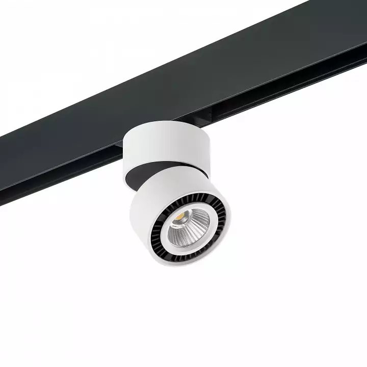 Светильник на штанге Lightstar Forte Muro PRO213816 0_LS_PRO213816.webp big