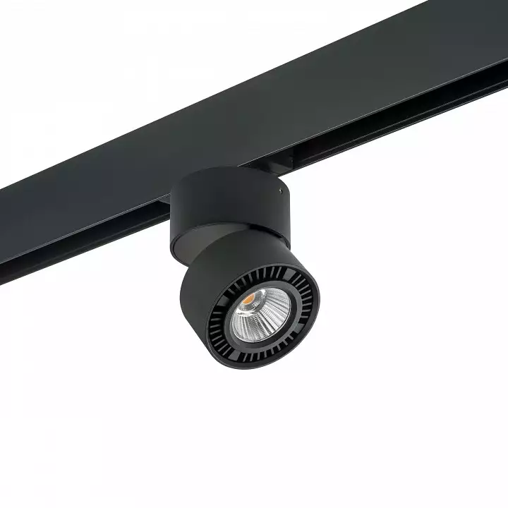 Светильник на штанге Lightstar Forte Muro PRO214817 0_LS_PRO214817.webp big