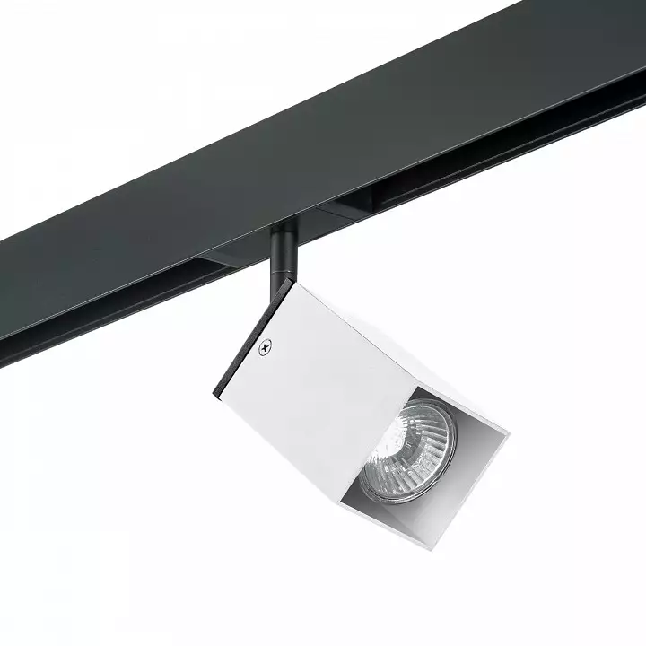 Светильник на штанге Lightstar Rullo PRO216336 0_LS_PRO216336.webp big