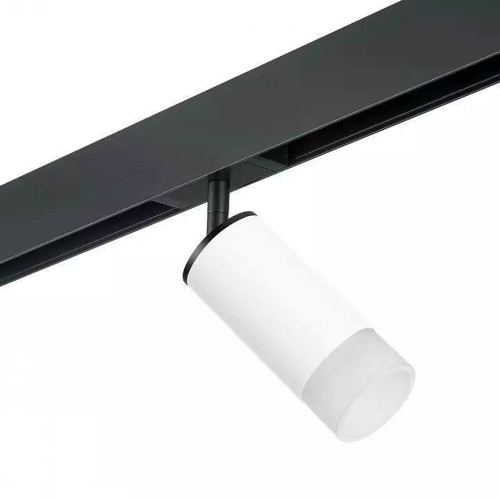 Светильник на штанге Lightstar Rullo PRO43631 0_LS_PRO43631.webp big