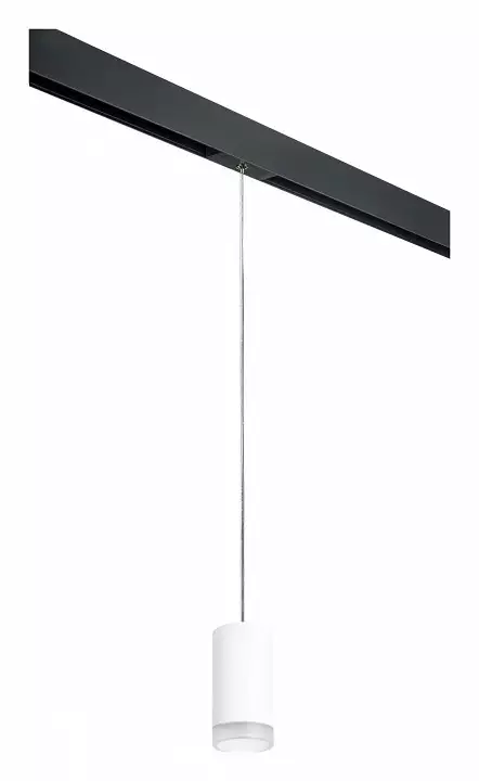 Подвесной светильник Lightstar Rullo PRORP43630 0_LS_PRORP43630.webp big