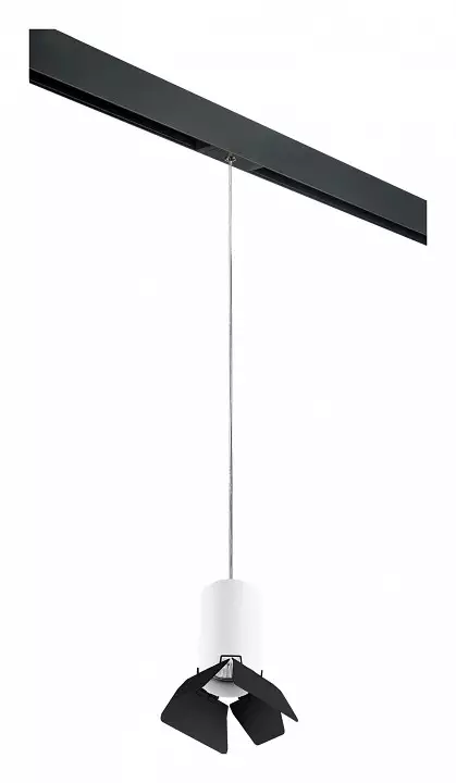 Подвесной светильник Lightstar Rullo PRORP436437 0_LS_PRORP436437.webp big