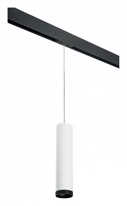 Подвесной светильник Lightstar Rullo PRORP4963437 0_LS_PRORP4963437.webp big