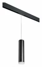 Подвесной светильник Lightstar Rullo PRORP49730 0_LS_PRORP49730.webp small