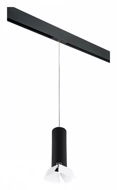 Подвесной светильник Lightstar Rullo PRORP497436 0_LS_PRORP497436.webp big