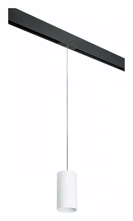 Подвесной светильник Lightstar Rullo PRORP6486 0_LS_PRORP6486.webp big