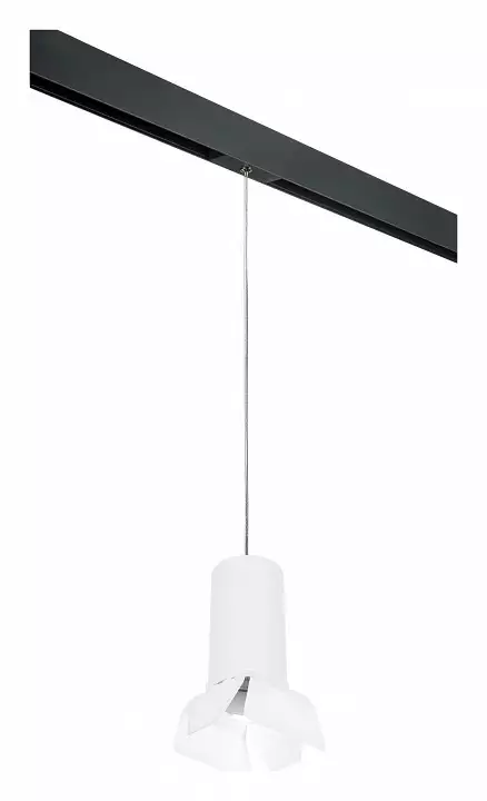 Подвесной светильник Lightstar Rullo PRORP6486486 0_LS_PRORP6486486.webp big