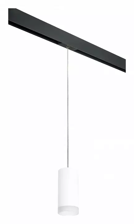 Подвесной светильник Lightstar Rullo PRORP648780 0_LS_PRORP648780.webp big