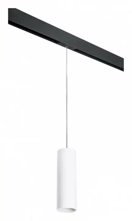 Подвесной светильник Lightstar Rullo PRORP6496 0_LS_PRORP6496.webp big