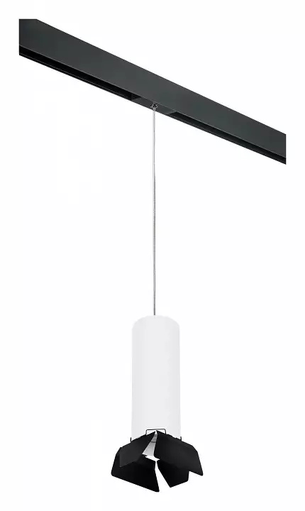 Подвесной светильник Lightstar Rullo PRORP6496487 0_LS_PRORP6496487.webp big