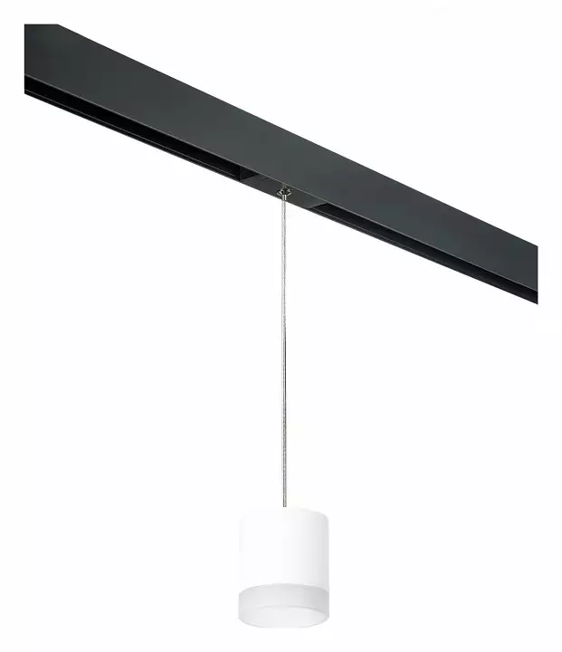 Подвесной светильник Lightstar Rullo PRORP348680 0_LS_PRORP348680.webp big