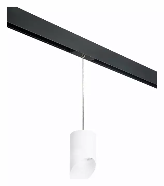 Подвесной светильник Lightstar Rullo PRORP348686 0_LS_PRORP348686.webp big