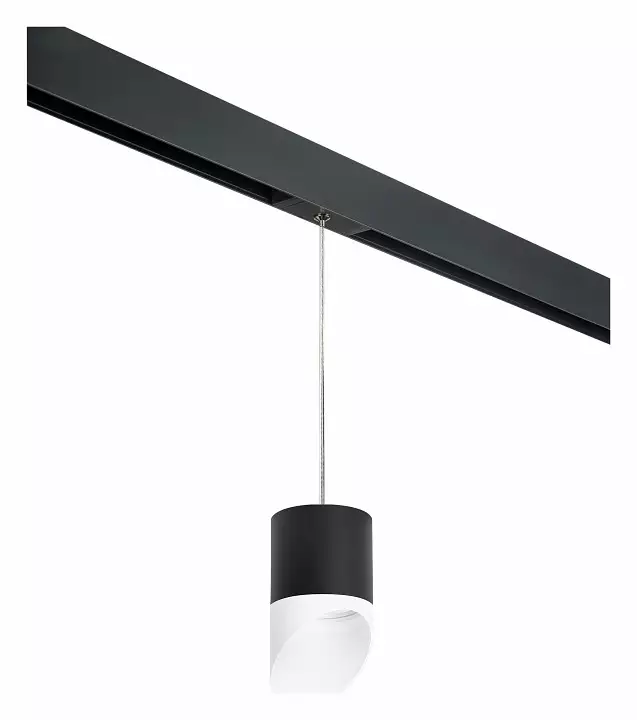 Подвесной светильник Lightstar Rullo PRORP348786 0_LS_PRORP348786.webp big