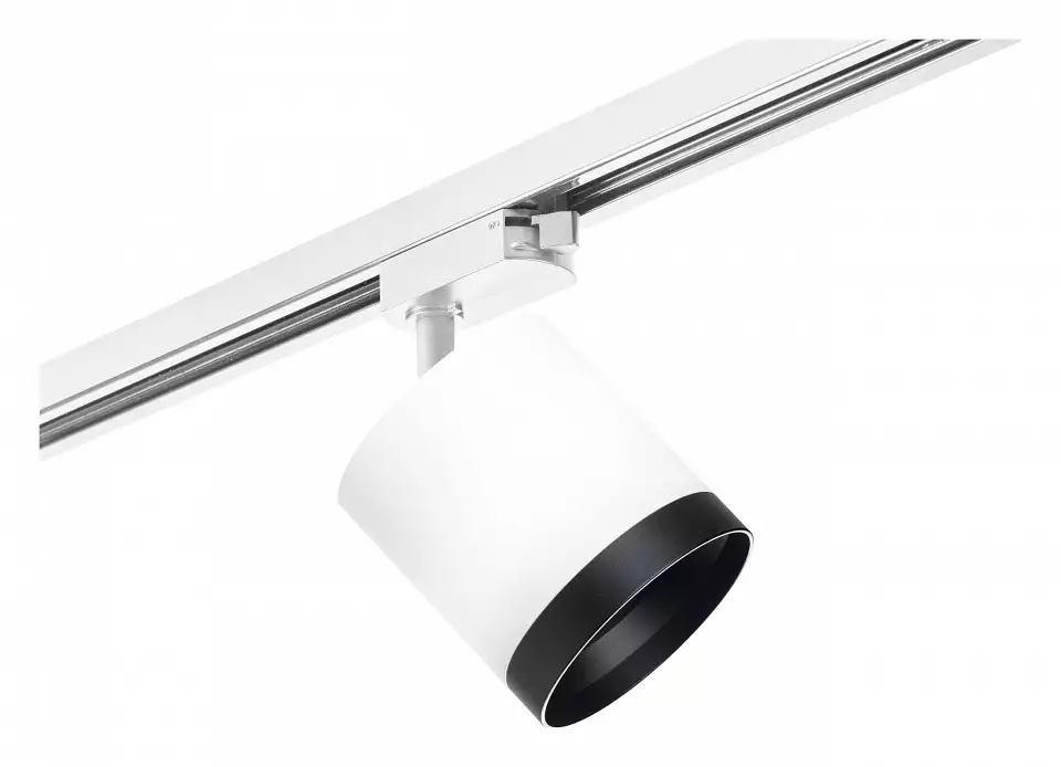 Светильник на штанге Lightstar Rullo R1T34863487 0_LS_R1T34863487.webp big