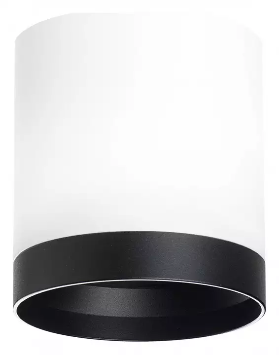 Накладной светильник Lightstar Rullo R34863487 0_LS_R34863487.webp big