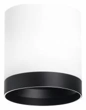 Накладной светильник Lightstar Rullo R34863487 0_LS_R34863487.webp small