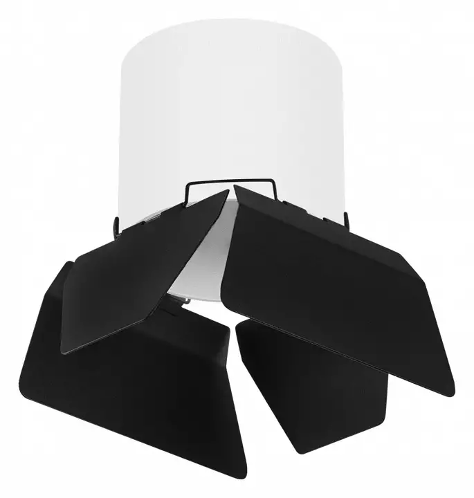 Накладной светильник Lightstar Rullo R3486487 0_LS_R3486487.webp big