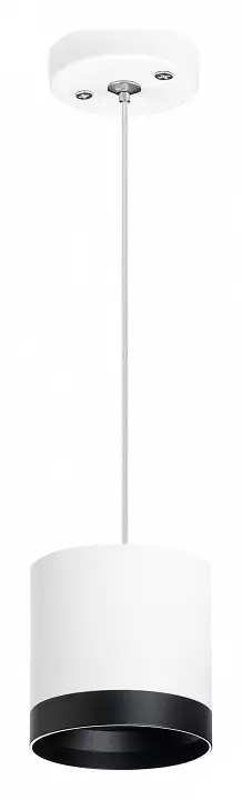 Подвесной светильник Lightstar Rullo RP34863487 1_LS_RP34863487.webp big