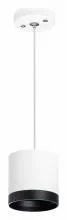 Подвесной светильник Lightstar Rullo RP34863487 1_LS_RP34863487.webp small