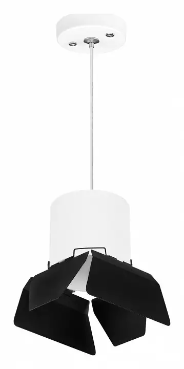 Подвесной светильник Lightstar Rullo RP3486487 1_LS_RP3486487.webp big
