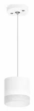 Подвесной светильник Lightstar Rullo RP348680 1_LS_RP348680.webp small