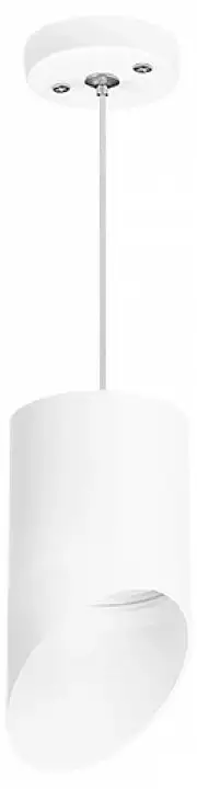 Подвесной светильник Lightstar Rullo RP348686 1_LS_RP348686.webp big