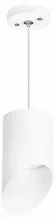 Подвесной светильник Lightstar Rullo RP348686 1_LS_RP348686.webp small