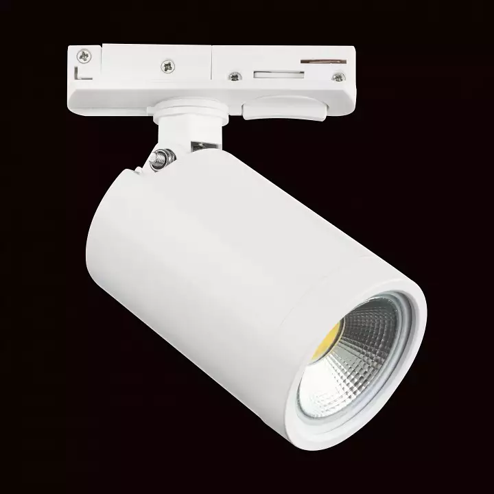 Светильник на штанге Lightstar Rullo 212936 1_LS_212936.webp big