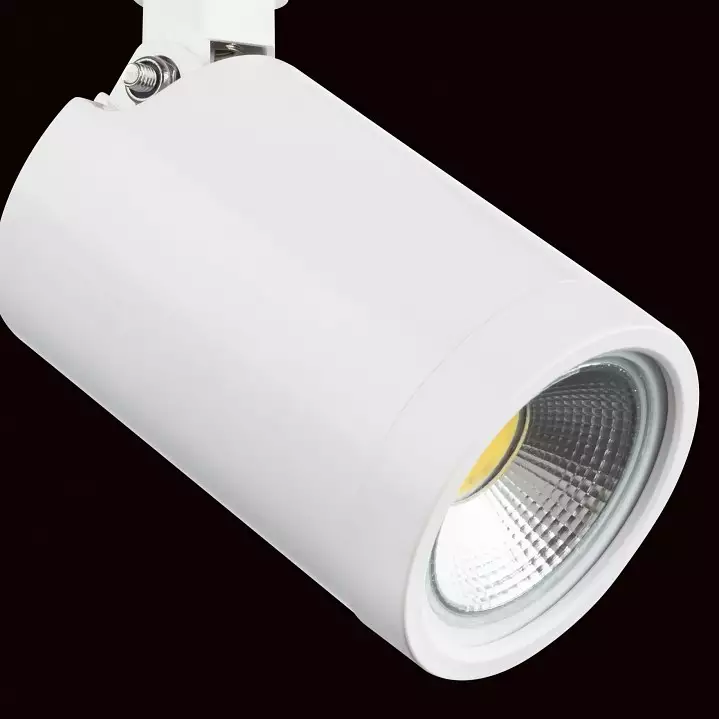 Светильник на штанге Lightstar Rullo 212936 3_LS_212936.webp big