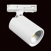 Светильник на штанге Lightstar Rullo 212936 1_LS_212936.webp small