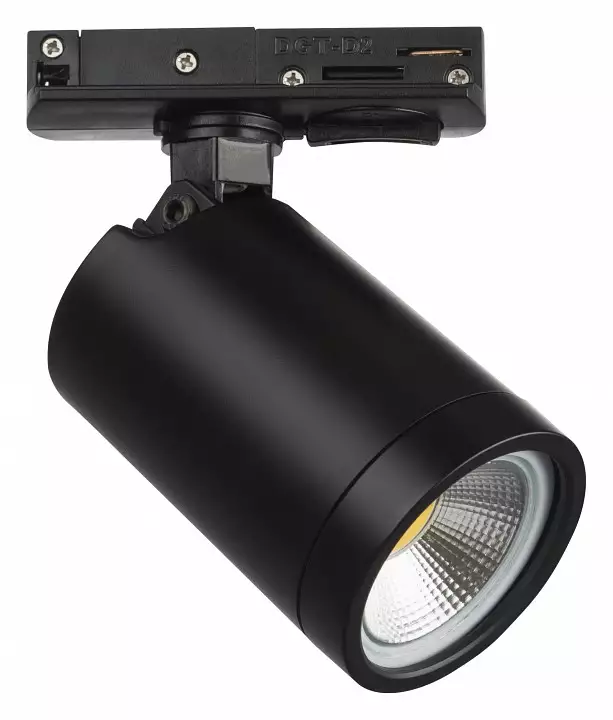 Светильник на штанге Lightstar Rullo 212937 0_LS_212937.webp big